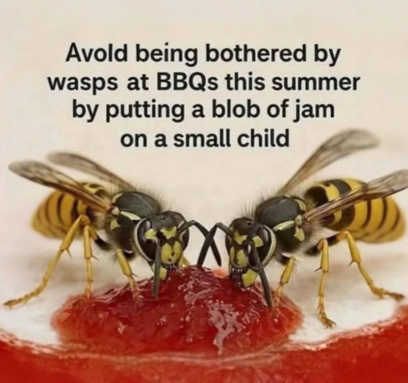 64-70c9cb61-4711-4c88-99b5-70d2197787ab.png