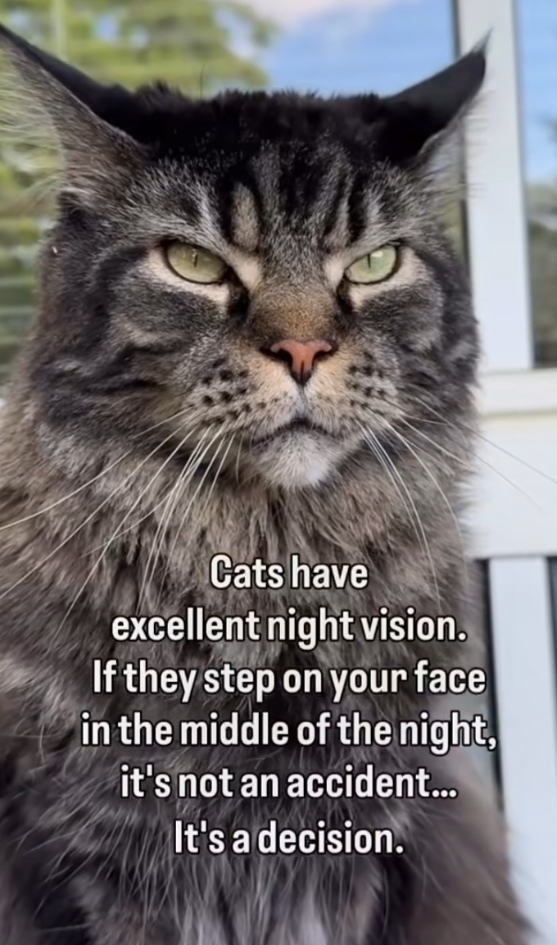 59-7fb14530-0030-4142-b206-d1c97fb7b6fc.png
