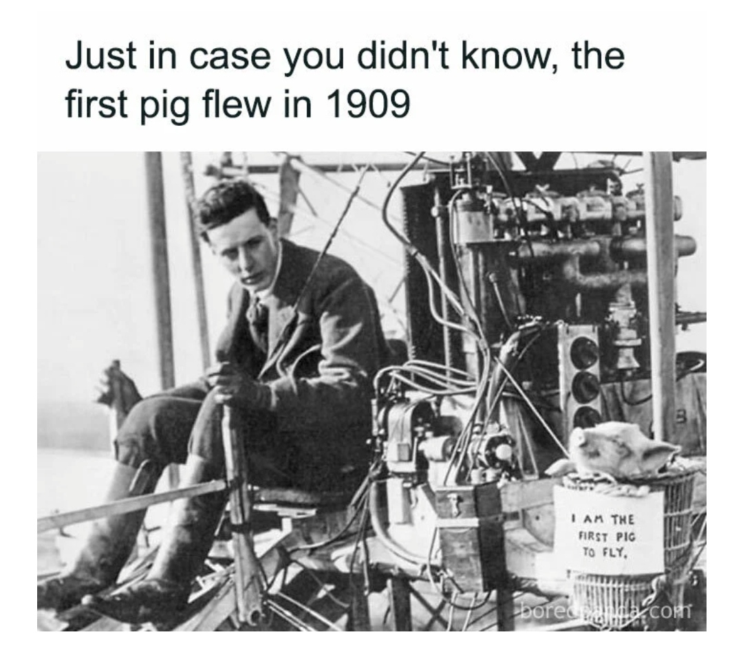 36-b6da87ab-b5e5-430c-aa0b-6639d5ec7675.jpg